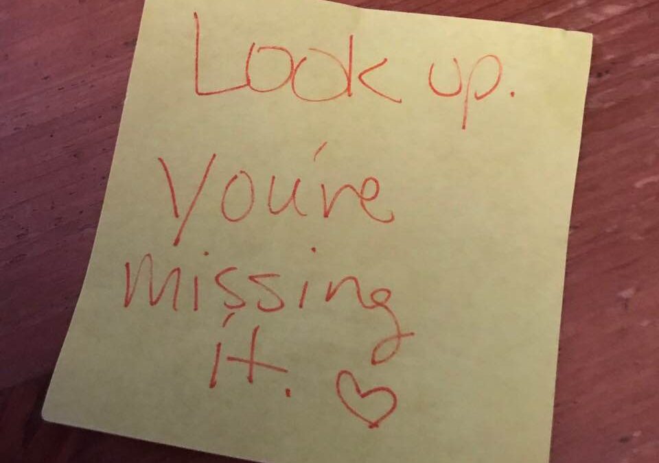 Look Up Before You Miss It – How I Didn’t Butt In When I Wanted To